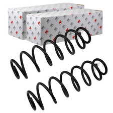 2X NK FAHRWERKSFEDERN HINTEN